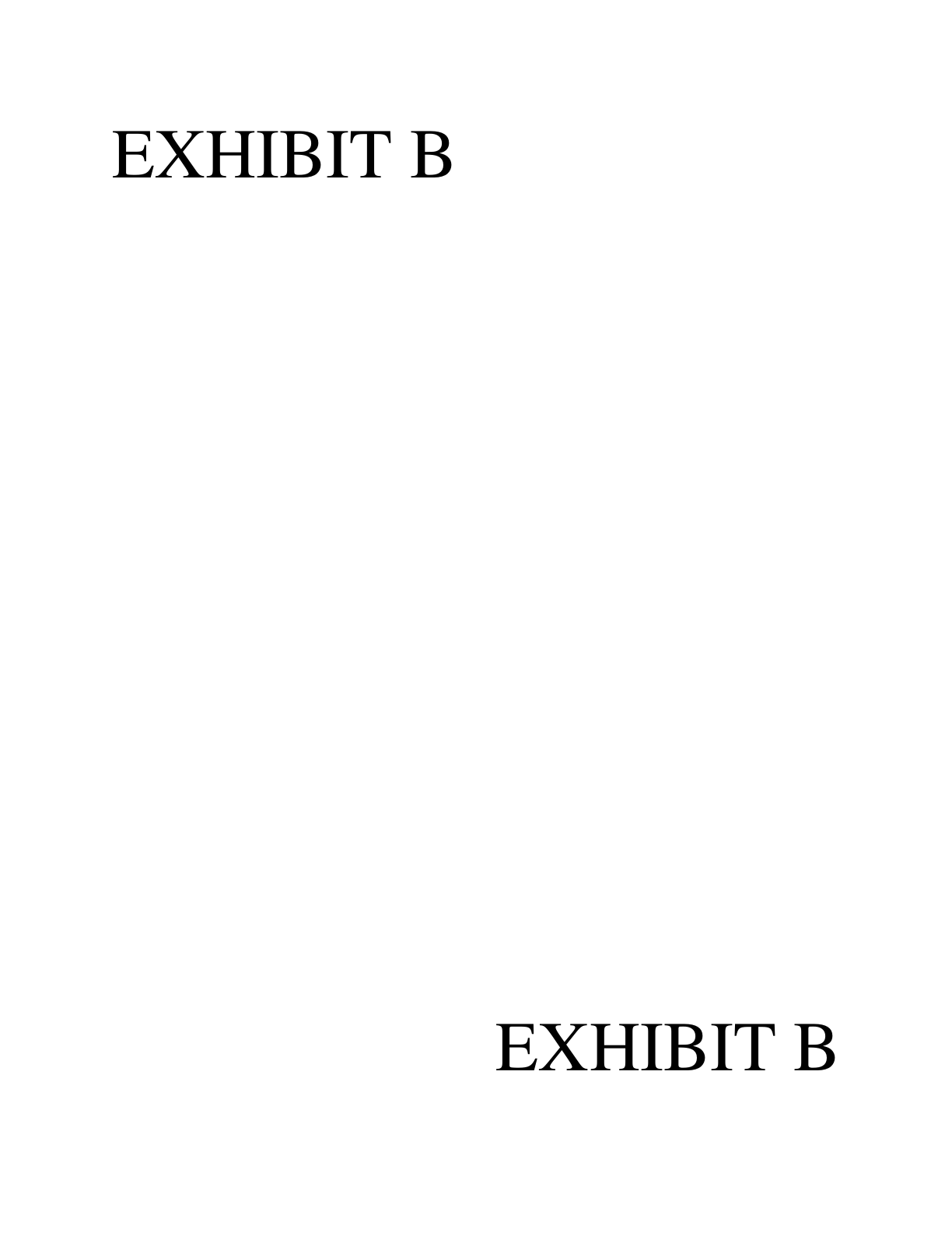 First page preview of Exhibit B - Sold Sets / POS Data
